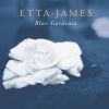 Download track Blue Gardenia
