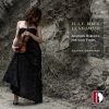 Download track Violin Partita No. 1 In A Major: VI. Aria
