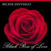 Download track Black Rose Of Love (Radio Edit)