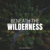 Download track Feel The Wilderness