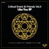 Download track Like You (Original Mix)
