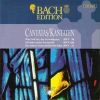 Download track Ich Habe Meine Zuversicht BWV 188 - II Recitativo (Basso)