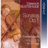 Download track 19. Sonata VI In D Minor BuxWV 257 - II. Con Discretione - Adagio