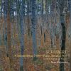 Download track Piano Sonata No. 4 In A Minor, D. 537: III. Allegro Vivace