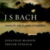 Download track (02) Sonata In G Minor BWV 1029 - II. Adagio