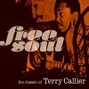 Download track Brother To Brother (Terry Callier & Paul Weller)