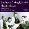 Download track String Quartet In D Major, Op. 18 No. 3: II. Andante Con Moto