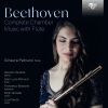 Download track Serenade For Flute, Violin And Viola In D Major, Op. 25 II. Tempo Ordinario D'un Menuetto