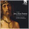 Download track 09 - BWV 23.4. Choral 'Christe, Du Lamm Gottes'