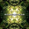 Download track Nothing Like The Sun