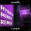 Download track Bloodline (Hybrid Minds Remix) (Club Master)