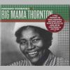 Download track Big Mama's New Love