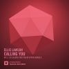 Download track Calling You (Las Salinas Remix)