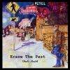 Download track Erase The Past