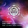 Download track Shine Down (Lee Houser Remix)