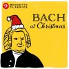 Download track Weihnachtsoratorium, BWV 248, Pt. Ii' No. 10. Pastoral Symphony