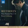 Download track 10. Piano Sonata No. 3 In C Major, Op. 2 No. 3 II. Adagio