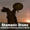 Download track Sunflower, Just Born To Be! (Pure Shaman Drums)