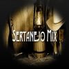 Download track Dj Ale Set Sertanejo 2
