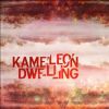 Download track Dwelling (Kameleon Remix)