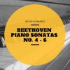 Download track Piano Sonata No. 5, In C MInor, Op. 10 No. 1: II. Adagio Molto