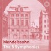 Download track Mendelssohn Symphony No. 1 In C Minor, Op. 11, MWV N 13 IV. Allegro Con Fuoco - Più Stretto