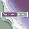 Download track 33 Piano Variations In C, Op. 120 On A Waltz By Anton Diabelli: Variation XXXIII (Tempo Di Minuetto Moderato, Ma Non Tirarsi Dietro)