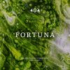 Download track Fortuna (Radio Edit)