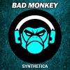 Download track Synthetica