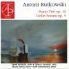 Download track Piano Trio In G Minor, Op. 13 - III. Allegro Con Fuoco