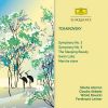 Download track Tchaikovsky Swan Lake, Op. 20 Suite-1. Scene-Swan Theme