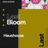 Download track Last Bloom