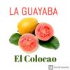 Download track Colocao (Salsa Mix)