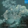 Download track 12 - IV. Finale. Allegro Molto - Poco Andante - Presto (Arr. For Small Orchestra By Ferdinand Ries)