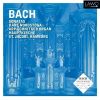 Download track 10. Trio Sonata No. 6 In G Major BWV 530 - I. Vivace