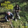 Download track Take What You Need