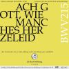 Download track Preise Dein Glücke, Gesegnetes Sachsen, BWV 215: VI. Rezitativ (Sopran) - Ja, Ja! Gott Ist Uns Noch Mit Seiner Hülfe Nah (Live)