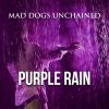 Download track Purple Rain (Extended)