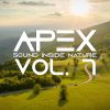 Download track A Voice In The Sky (Extended Mix)