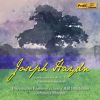 Download track Symphony No. 90 In C Major, Hob. I'90 I. Adagio - Allegro Assai'