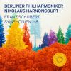 Download track Symphony No. 1 In D Major, D. 82 III. Menuetto. Allegretto – Trio