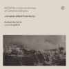 Download track 02 Sonata In G Minor BWV 1029 For Viola Da Gamba And Harpsichord Obligato - Vivace