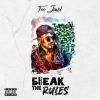 Download track Break The Rules