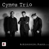 Download track Baym Rebin's Sude (Arr. Cymes Trio For Violin, Double Bass & Piano)