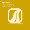 Download track Cloudwalking (Solex Remix)