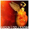 Download track Deli Kadın