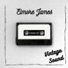 Download track Elmore James