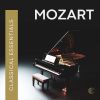 Download track Mozart: Symphony No. 24 In B-Flat Major, K. 182: II. Andantino Grazioso