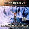 Download track Niagara Falls