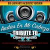 Download track Andas En Mi Cabeza - (Acoustic Version) Tribute To Chino Y Nacho [Acapella]
